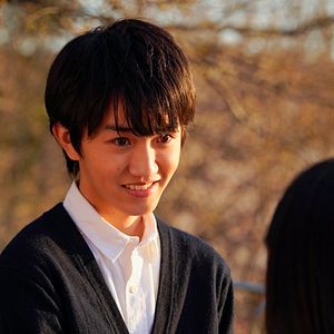 Bilder Stimme des Herzens - Whisper of the Heart