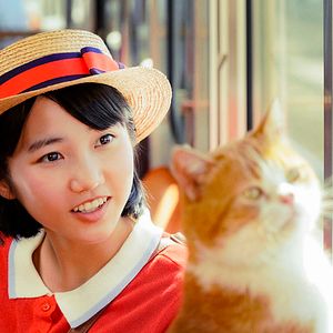 Bilder Stimme des Herzens - Whisper of the Heart