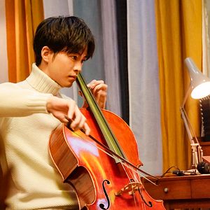 Bilder Stimme des Herzens - Whisper of the Heart