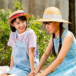 Bilder Stimme des Herzens - Whisper of the Heart