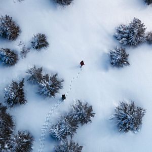 Bilder White Hell - Eiskalte Jagd