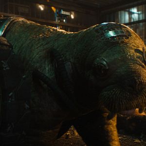 Bilder Guardians Of The Galaxy Volume 3