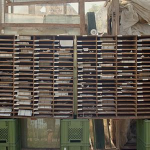 Bilder Ernte teilen - Anders Ackern für die Zukunft