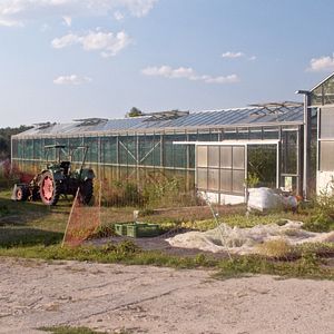Bilder Ernte teilen - Anders Ackern für die Zukunft