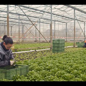 Bilder Ernte teilen - Anders Ackern für die Zukunft