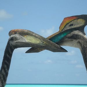 Bilder Ein Planet vor unserer Zeit