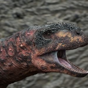 Bilder Ein Planet vor unserer Zeit