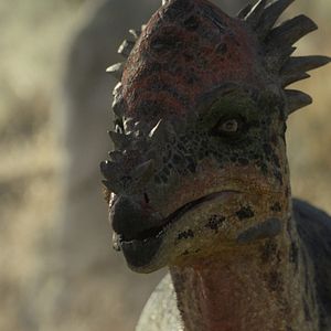 Bilder Ein Planet vor unserer Zeit