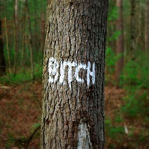 Bilder Je vous salue salope : La misogynie au temps du numérique