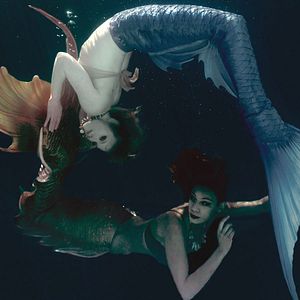 Bilder MerPeople