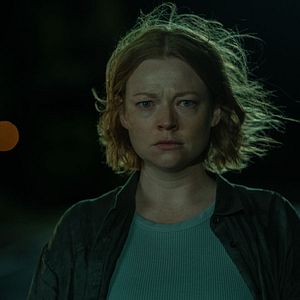 Bilder Run Rabbit Run