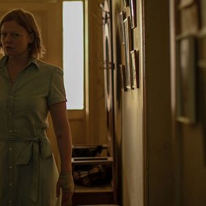 Bilder Run Rabbit Run