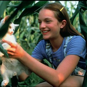 Bilder Tausend Morgen