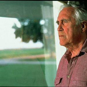 Bilder Tausend Morgen