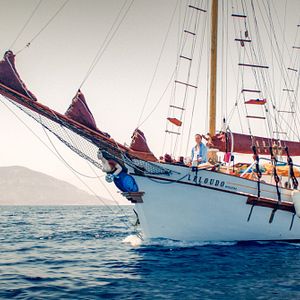 Bilder Thomas Stipsits