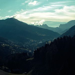 Bilder Fisch im Fell