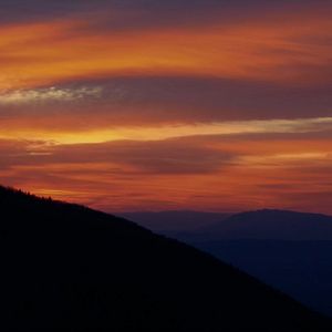 Bilder Fisch im Fell