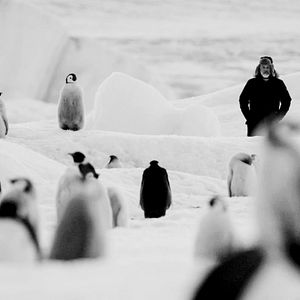 Bilder Rückkehr zum Land der Pinguine