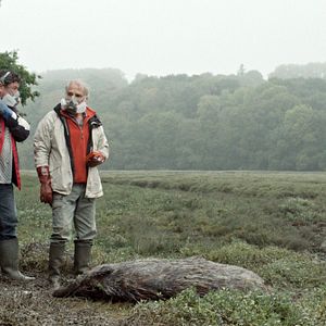 Bilder Pasquale D'Inca