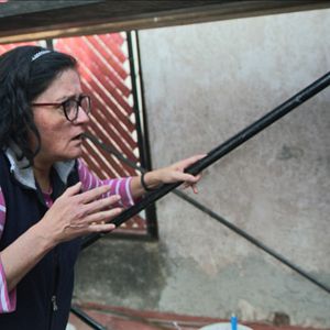 Bilder Rotting in the Sun