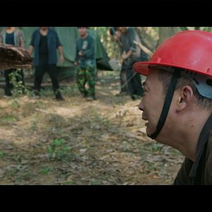 Bilder King Serpent Island