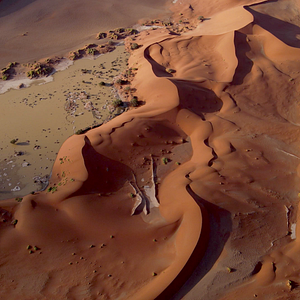 Bilder Pambara - Brauchen wir einen Boss