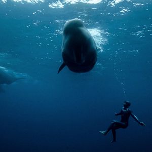 Bilder Der tiefste Atemzug