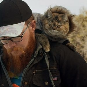 Bilder Cat Daddies - Freunde für sieben Leben