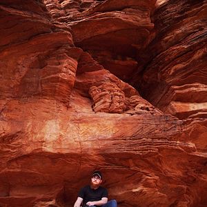 Bilder Cat Daddies - Freunde für sieben Leben