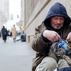 Bilder Cat Daddies - Freunde für sieben Leben