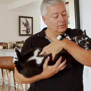 Bilder Cat Daddies - Freunde für sieben Leben