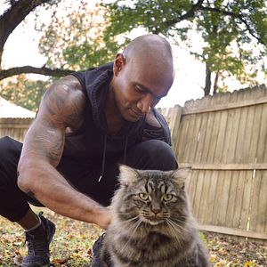 Bilder Cat Daddies - Freunde für sieben Leben