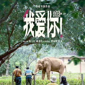 Bilder Love Never Ends