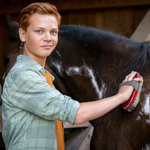 Bilder Franz Krause (II)