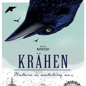 Bilder Krähen - Die Natur beobachtet uns