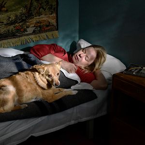 Bilder Fallende Blätter