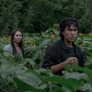 Bilder Friedhof der Kuscheltiere: Bloodlines