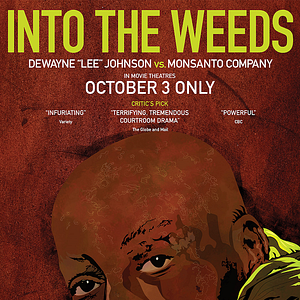 Bilder Into the Weeds