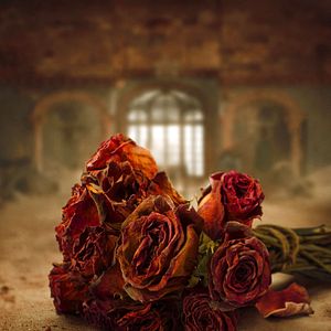 Bilder Made in Heaven