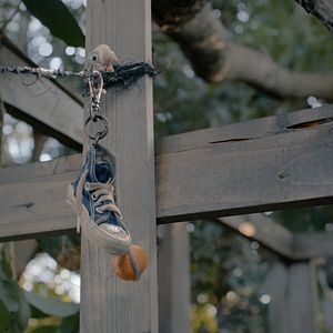 Bilder Marcel The Shell With Shoes On