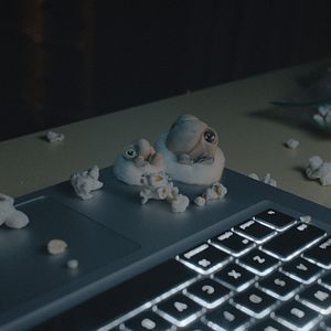 Bilder Marcel The Shell With Shoes On