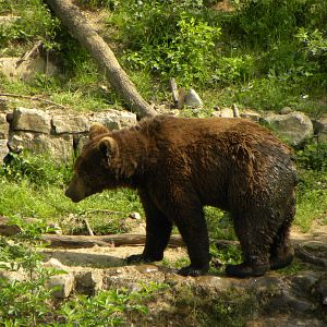 Bilder Altaïr Conférences - Croatie, Un trésor en Méditerranée