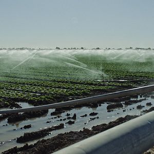 Bilder Vergiftet: Die schmutzige Wahrheit über unser Essen