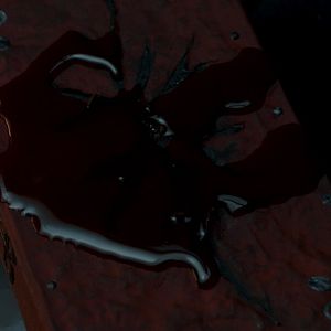 Bilder The Red Book Ritual