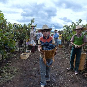 Bilder Juan Pablo Monterrubio