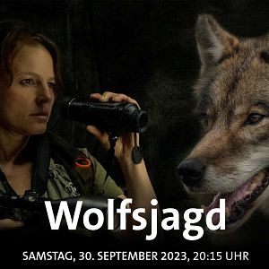 Bilder Wolfsjagd