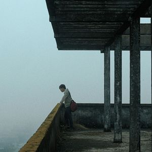 Bilder Bên trong vỏ kén vàng