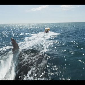 Bilder The Black Demon