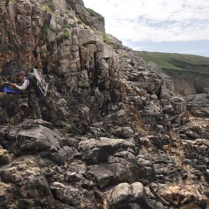 Bilder Ricardo et la peinture