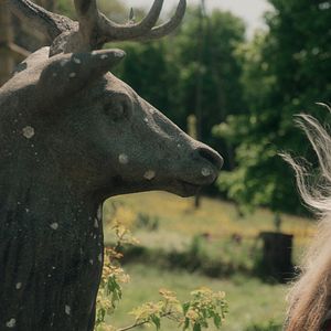 Bilder Yolande Moreau